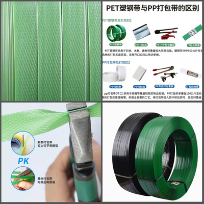 Kundenspezifisches Farb-Polyester HAUSTIER Verpackenbügel-Palette, die Plastikstahlgurtungsrolls verpackt