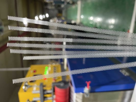 CE ISO Plastic PET PP Strap Making Machine 5-19 mm PP PET Extrudierproduktionslinie