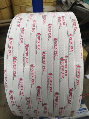 JTPP-110 vollautomatische PP-Streifenbandmachmaschine Polypropylen-Streifenband Extrusionsmaschine für Fliesenfabrik