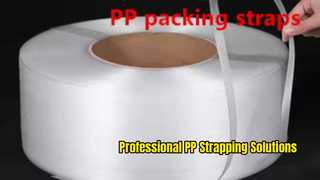 PP-Gürtel